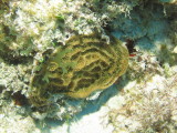 IMG_0164.JPG