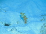 IMG_0168.JPG