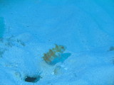 IMG_0169.JPG