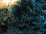 IMG_0178.JPG