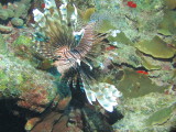 IMG_0183.JPG