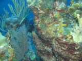 IMG_0199.JPG