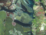 IMG_0205.JPG