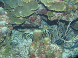 IMG_0210.JPG