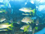 IMG_0028.JPG