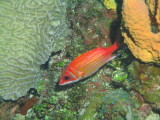 IMG_0031.JPG