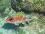 IMG_0040.JPG