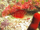 IMG_0048.JPG