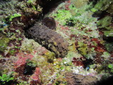 IMG_0065.JPG