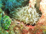 IMG_0077.JPG