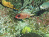 IMG_0084.JPG