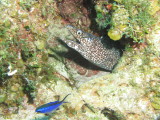 IMG_0105.JPG