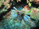 IMG_0120.JPG