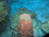IMG_0124.JPG