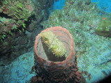 IMG_0125.JPG
