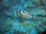 IMG_0126.JPG