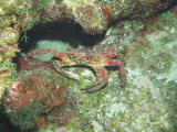 IMG_0132.JPG
