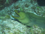 IMG_0148.JPG