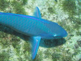 IMG_0154.JPG
