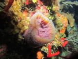 IMG_0008.JPG