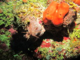 IMG_0009.JPG