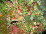 IMG_0014.JPG