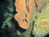 IMG_0021.JPG