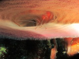 IMG_0024.JPG
