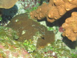 IMG_0041.JPG