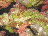 IMG_0044.JPG