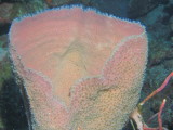 IMG_0048.JPG