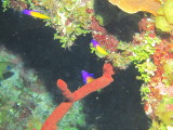 IMG_0046.JPG