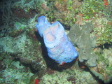 IMG_0053.JPG