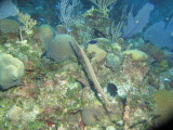 IMG_0065.JPG