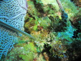 IMG_0070.JPG