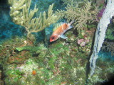 IMG_0071.JPG