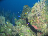 IMG_0074.JPG