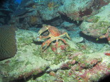 IMG_0083.JPG
