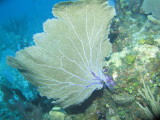 IMG_0154.JPG