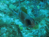 IMG_0148.JPG