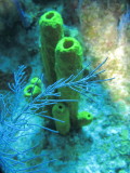 IMG_0142.JPG