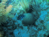 IMG_0137.JPG