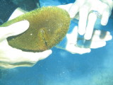 IMG_0093.JPG