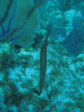 IMG_0127.JPG