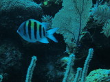 IMG_0105.JPG