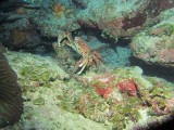 IMG_0084.JPG
