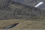 Road F550