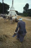 Near Mandalay