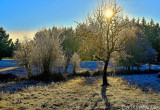 Into The Morning Sun