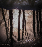 Creek_Reflections